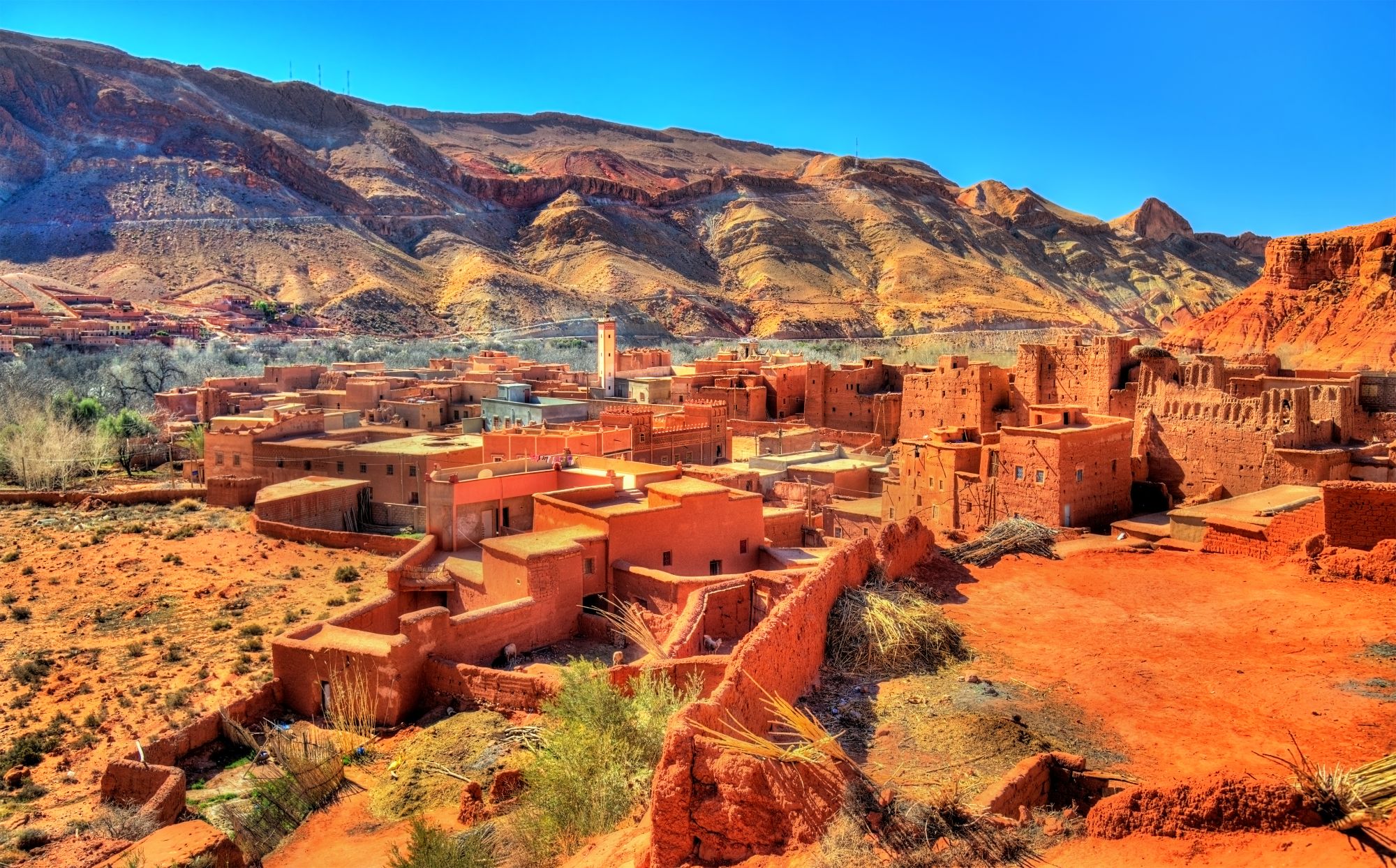 Snow-capped Atlas Mountains rising above palm trees and traditional buildings