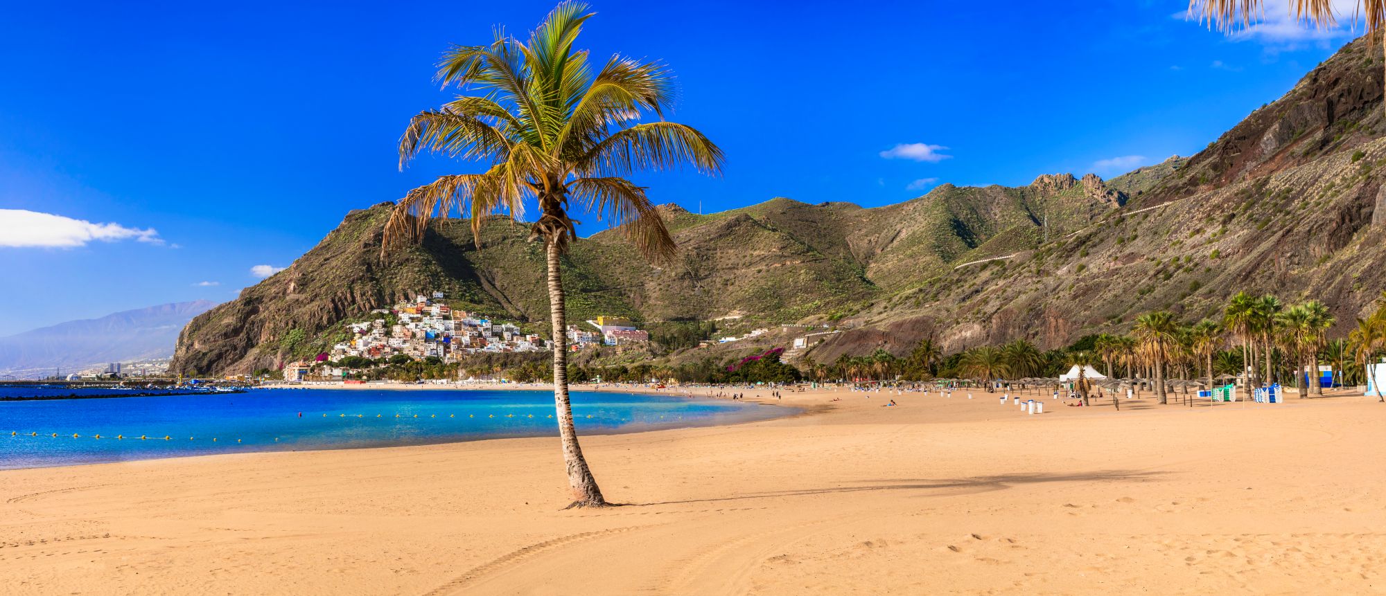 tenerife-sandy-beach-palm-tree-mountains