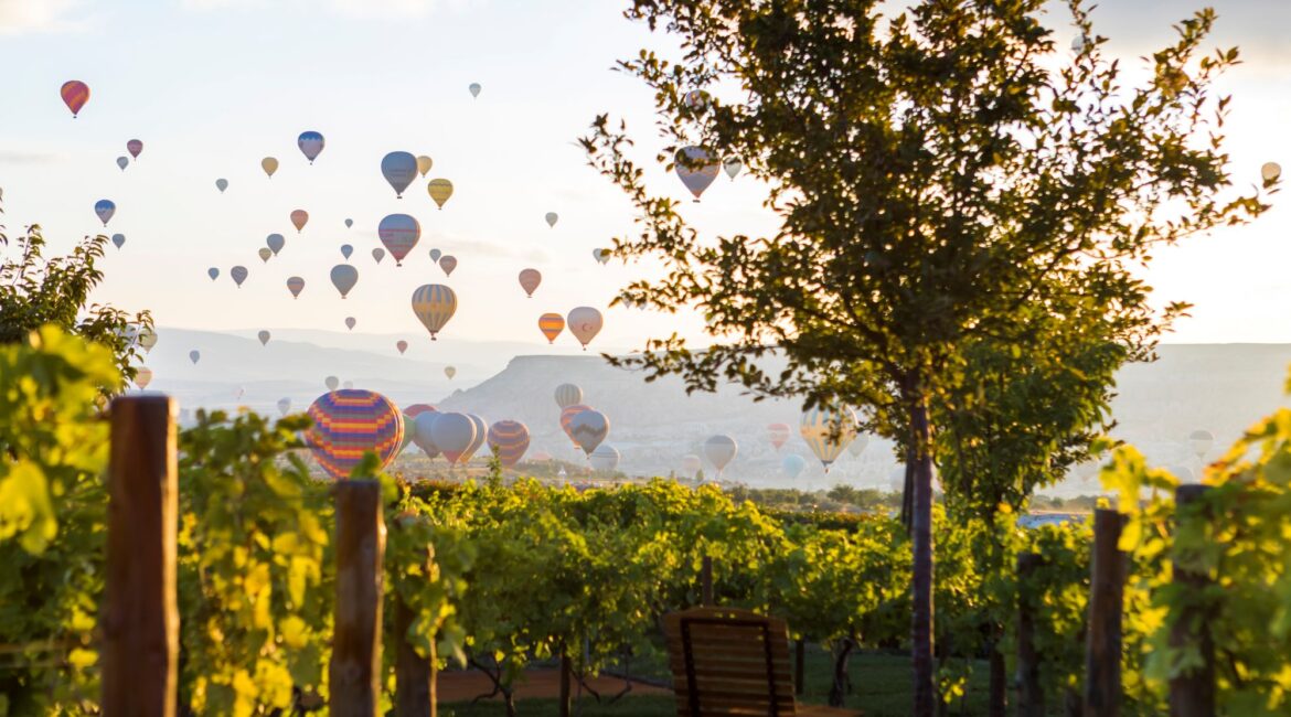 ariana-sustainable-luxury-lodge-garden-with-hot-air-balloons-cappadocia.jpg