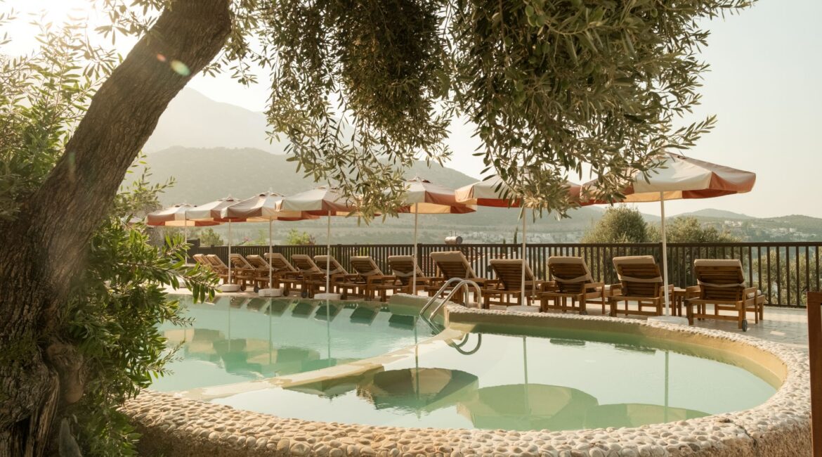 Pool terrace framed by olive trees at Asfiya Sea View Hotel in Kalkan